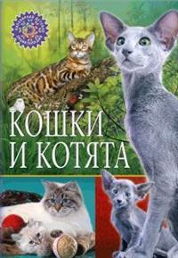 

Кошки и котята (14785029)