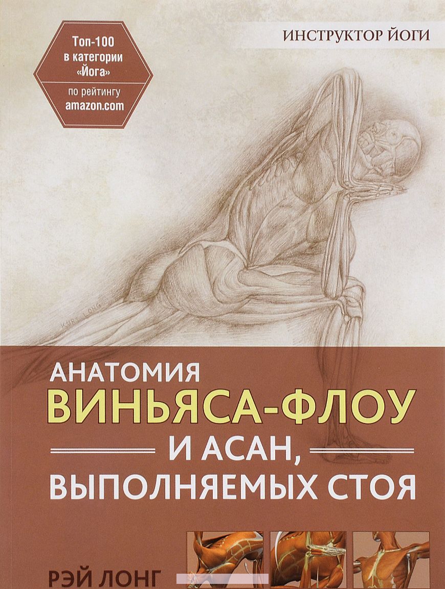 

Анатомия виньяса-флоу и асан, выполняемых стоя