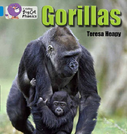 

Big Cat Phonics 4 Gorillas