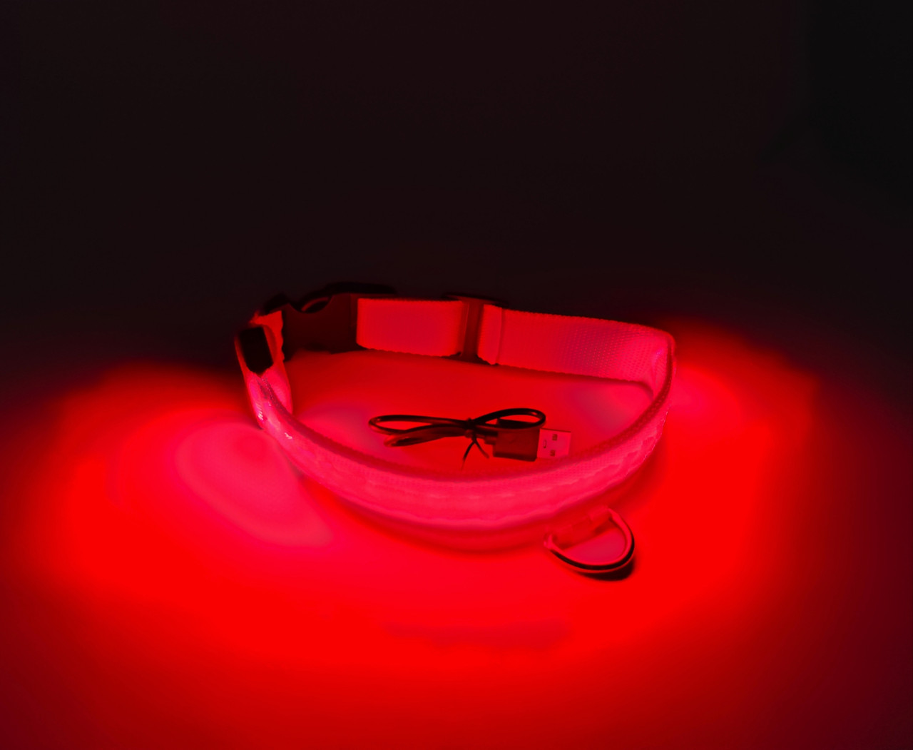 

Светящийся нейлоновый ошейник для собак DogClub USB L (45-52 см) Red