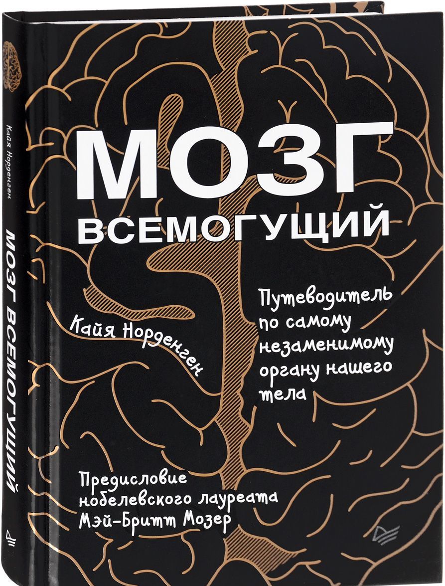 

Мозг всемогущий. Путеводитель по самому незаменимому органу нашего тела