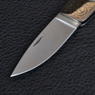 Нож складной GIGAND FC-9788С Лев (длина: 18.0см, лезвие: 7.7см) - изображение 3