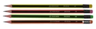 Набор графитовых карандашей 12 шт Buromax Neon НВ с ластиком (BM.8508)