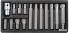 Набор отверточных насадок YATO Ribe M6-M14 с переходником 1/2" 15 шт (YT-0419)