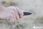 Карманный нож TOPS Knives Ferret FBHP-01 (2000980421534) - изображение 4