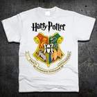Футболка Fruit of the Loom Хогвартс Гаррі Поттер Hogwarts Harry Potter Білий 152 см (2194116)