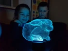 Сменная пластина для 3D светильников "Кролик 2" 3DTOYSLAMP (НЕ НОЧНИК)