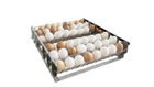 Інкубатор для яєць Broody Micro Battery 50 з регулятором вологості і можливістю резервного живлення - зображення 7
