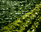 Сітка маскувальна двостороння 3м*6м Зелена двоколірна, PE (PP921141476768) - зображення 4