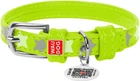 Ошейник для собак кожаный Collar WAUDOG Glamour с QR паспортом, узор "Звёздочка", светящийся/светоотражающий, XS, Ш 12 мм, Дл 21-29 см (35845)