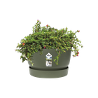 Горщик для квітів Elho Greenville Round круглий 13,3 л 30 x 27 см (332457) Зелений