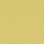 Флізелінові шпалери Rasch Florentine 2 449839 Жовті