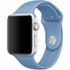 Силиконовый ремешок Sport Band Premium для Apple Watch 42 / 44 / 45 / 46 / 49 mm All Series Azure (11126861)