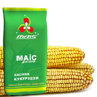 Семена кукурузы селекции Компании Маис Сплав МС 290 (ФАО 290) – низкие ...