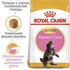 Сухий корм для кошенят Royal Canin Maine Coon Kitten для породи мейн-кун