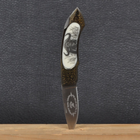 Нож складной GIGAND FC-9788H Буйвол (длина: 18.0см, лезвие: 7.7см) - изображение 9