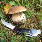 Нож грибной складной Schwarzwolf Pilz Коричневый (F1900200SA3) - изображение 4