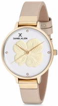 Жіночі наручні годинники Daniel Klein DK12047-3