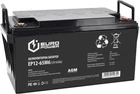 Аккумуляторная батарея EUROPOWER AGM 12 V 65Ah (EP12-65M6)