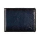 Портмоне мужское кожаное Visconti Roland c RFID Burnish Blue (AT63 BLUE)