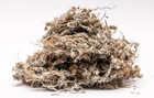 Сухоцвіт болотяний Сушениця (трава) 1 кг - зображення 1