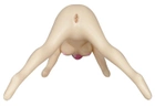 Секс-кукла Dishy Dyanne (09933000000000000) - изображение 9