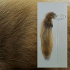 Анальная пробка Crystal Minx Tail Plug с натуральным мехом койота (13127000000000000) - изображение 6