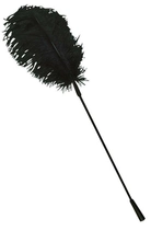 Паличка з пір'ям Feder колір чорний (14221005000000000) - зображення 1