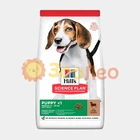 Сухий корм для цуценят середніх порід Hill's Science Plan Puppy Medium Breed з ягнятком та рисом