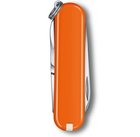 Складной нож Victorinox CLASSIC SD Colors 0.6223.83G - изображение 3