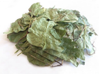 Грушанка (листя) 0,5 кг - зображення 1