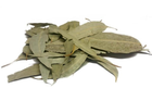 Евкаліпт (листя) 0,5 кг - зображення 1