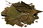 Гинкго Билоба (листья) 0,5 кг - изображение 1