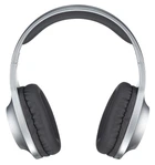 Гарнітура Panasonic RB-HX220BEE-S (RB-HX220BEES)
