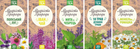 Набор чая Мудрость Природы травяного ассорти 5 пачек по 20 пакетиков (38191029)