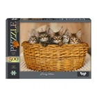 Пазлі 500 ел. с.14 №9 Funny kittens (C500-14-09)