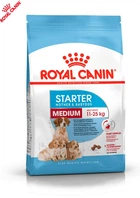 Сухой корм Royal Canin Medium Starter для собак в период беременности и щенков средних пород до 2 месяцев