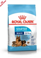 Сухой корм Royal Canin Maxi Starter для щенков крупных пород до 2 месяцев