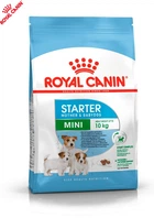 Сухой корм Royal Canin Mini Starter для собак мелких пород в период беременности и лактации