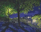 Картина за номерами. Art Craft Нічний парк 40х50 см 10585-AC