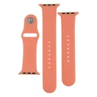 Ремінець для Apple Watch Band Silicone Two-Piece 42/44mm 52, Waterlemon