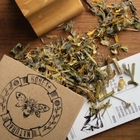 Травяной сбор от цистита Травяной чай Карпатский травяной сбор Лечебный фиточай - изображение 3