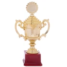 Кубок спортивный с ручками и крышкой приз спортивный SP-Sport 896-3B высота 29,5 см Gold