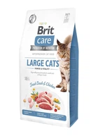 Сухий корм Brit Care Large Power Vitality