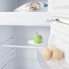 Холодильник Бирюса 122 - изображение 6