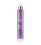 Антижелтая маска для волосся Erayba Always Beautiful Hair E ABH Silver No Yellow Mask 250 мл веганская тонирующие маска