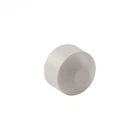 Заглушка PPR Thermo Alliance 32 DSD003