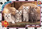 Пазлы "Британская короткошерстная кошка", 70 элементов G-Toys (AN146)