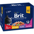 Вологий корм Brit Premium For welllness and beauty