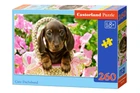 Пазл Castorland Мила такса, 260 ел.